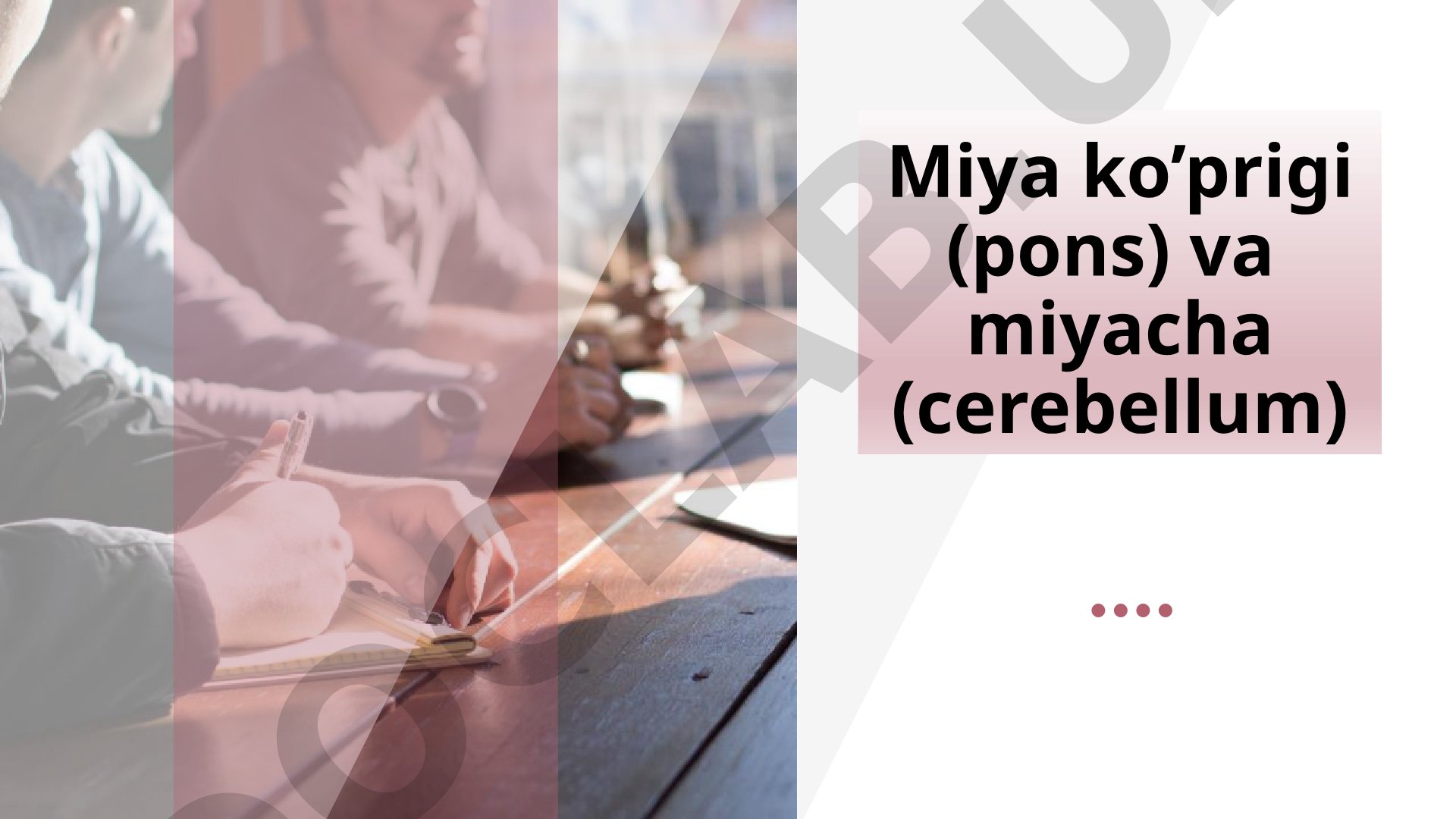 Miya ko’prigi (pons) va miyacha (cerebellum) anatomiyasi