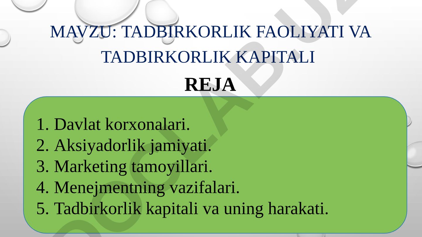 Tadbirkorlik faoliyati va tadbirkorlik kapitali reja