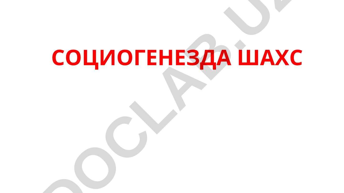 Социогенезда шахс ва социаллашув