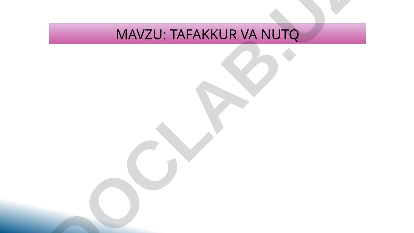 Tafakkur va nutq