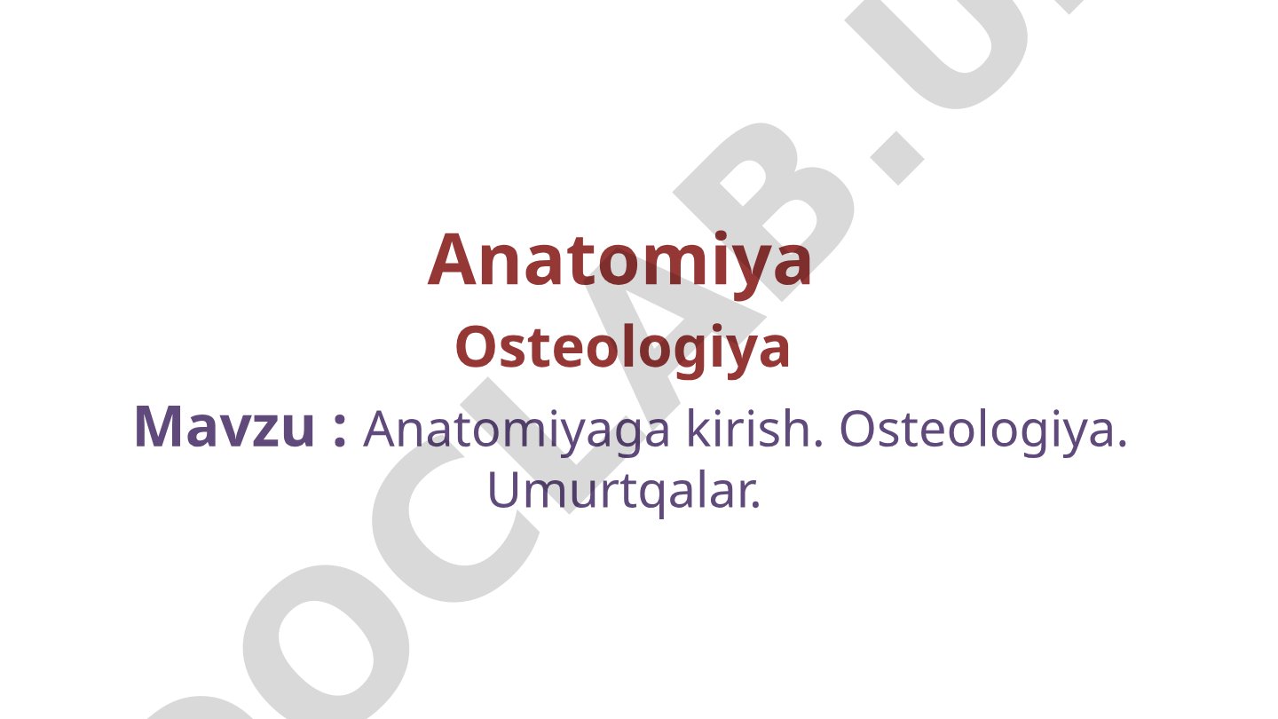Anatomiyaga kirish. Osteologiya. Umurtqalar