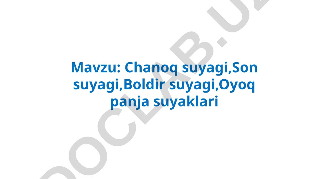 Chanoq suyagi, Son suyagi, Boldir suyagi, Oyoq panja suyaklari