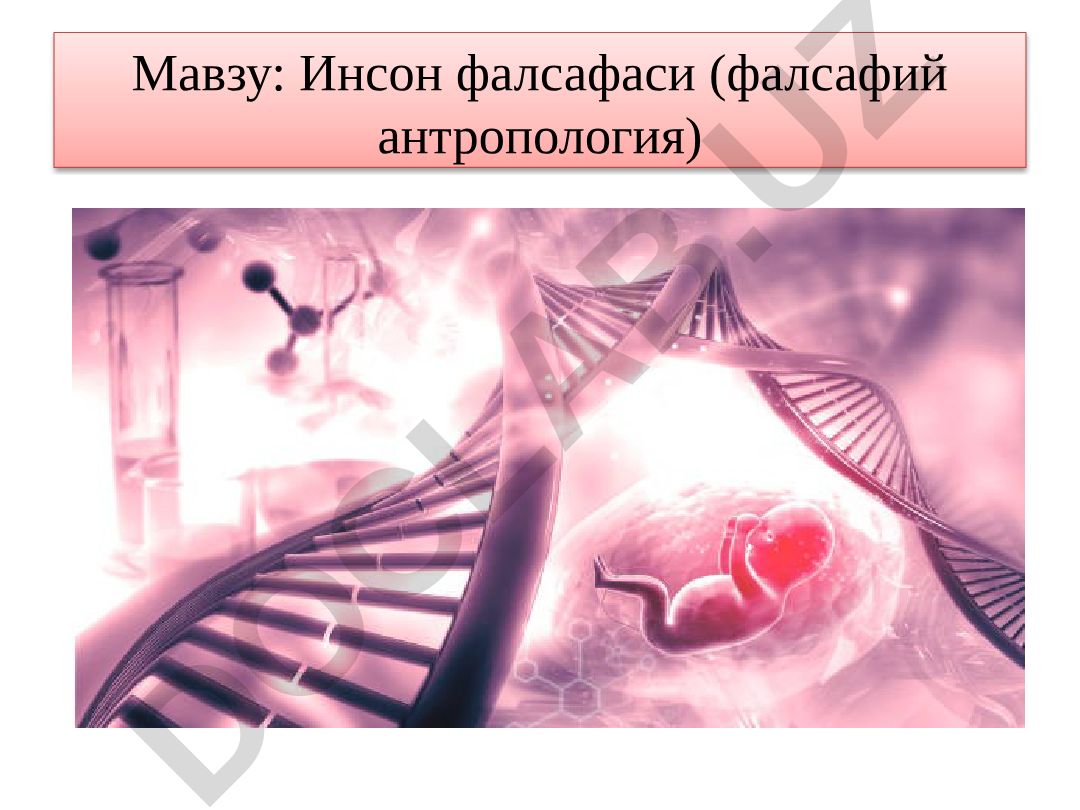 Инсон фалсафаси (фалсафий антропология)