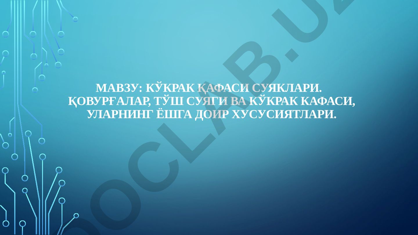 Кўкрак қафаси суяклари. Қовурғалар, тўш суяги ва кўкрак кафаси, уларнинг ёшга доир хусусиятлари
