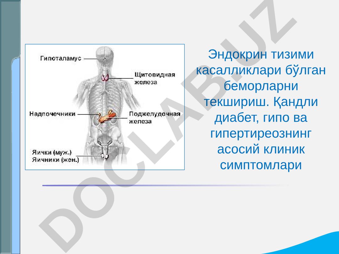 Эндокрин тизими касалликлари бўлган беморларни текшириш
