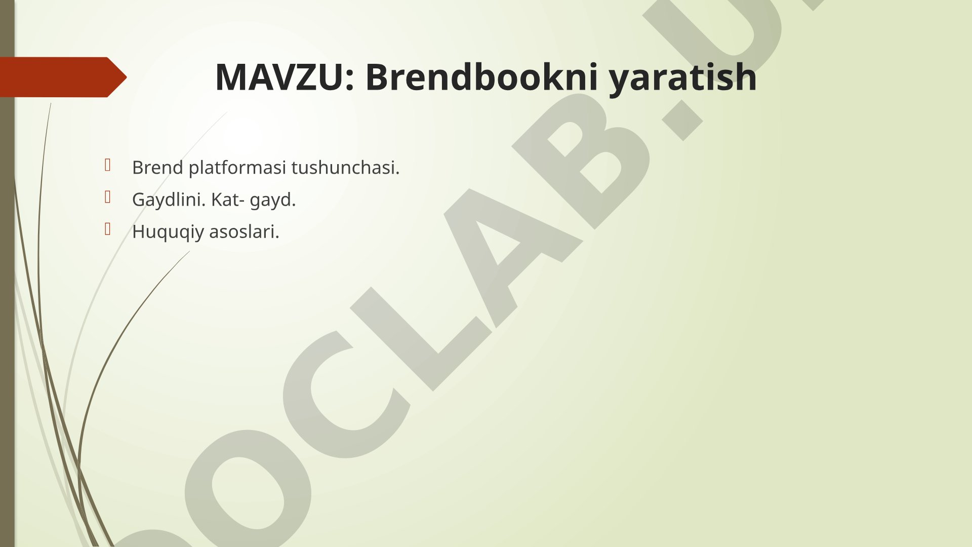 Brend kitobi taqdimoti