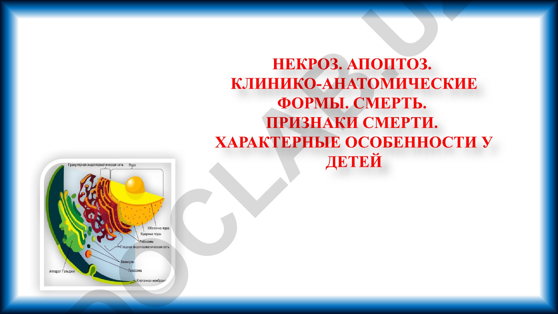 Некроз и апоптоз: клинико-анатомические формы и признаки смерти