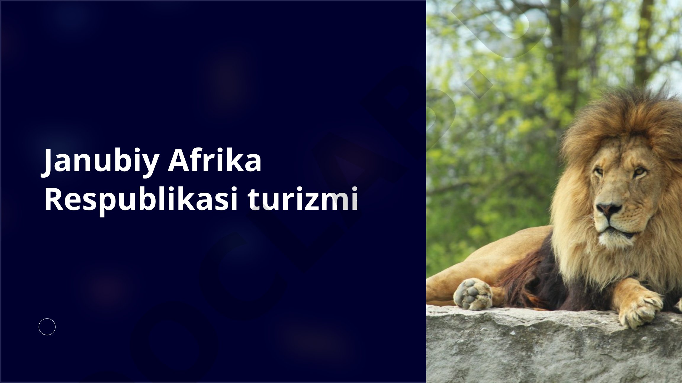 Janubiy Afrika turizmi taqdimoti