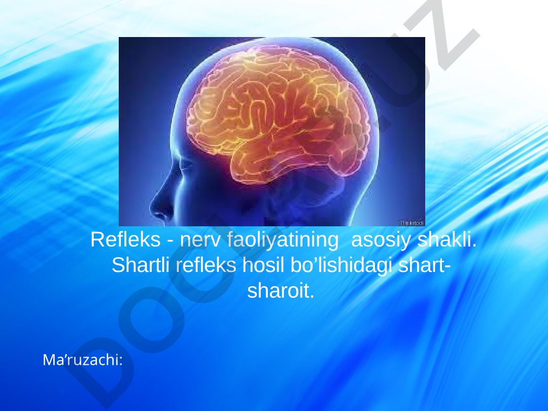 Refleks - nerv faoliyatining asosiy shakli va shartli refleks hosil bo'lishi