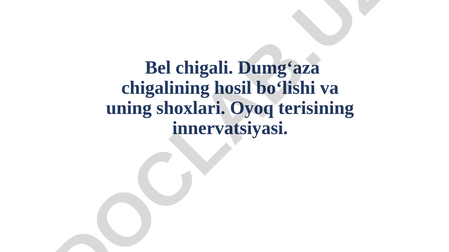 Bel chigali, dumg'aza chigalining hosil bo'lishi va oyoq terisining innervatsiyasi