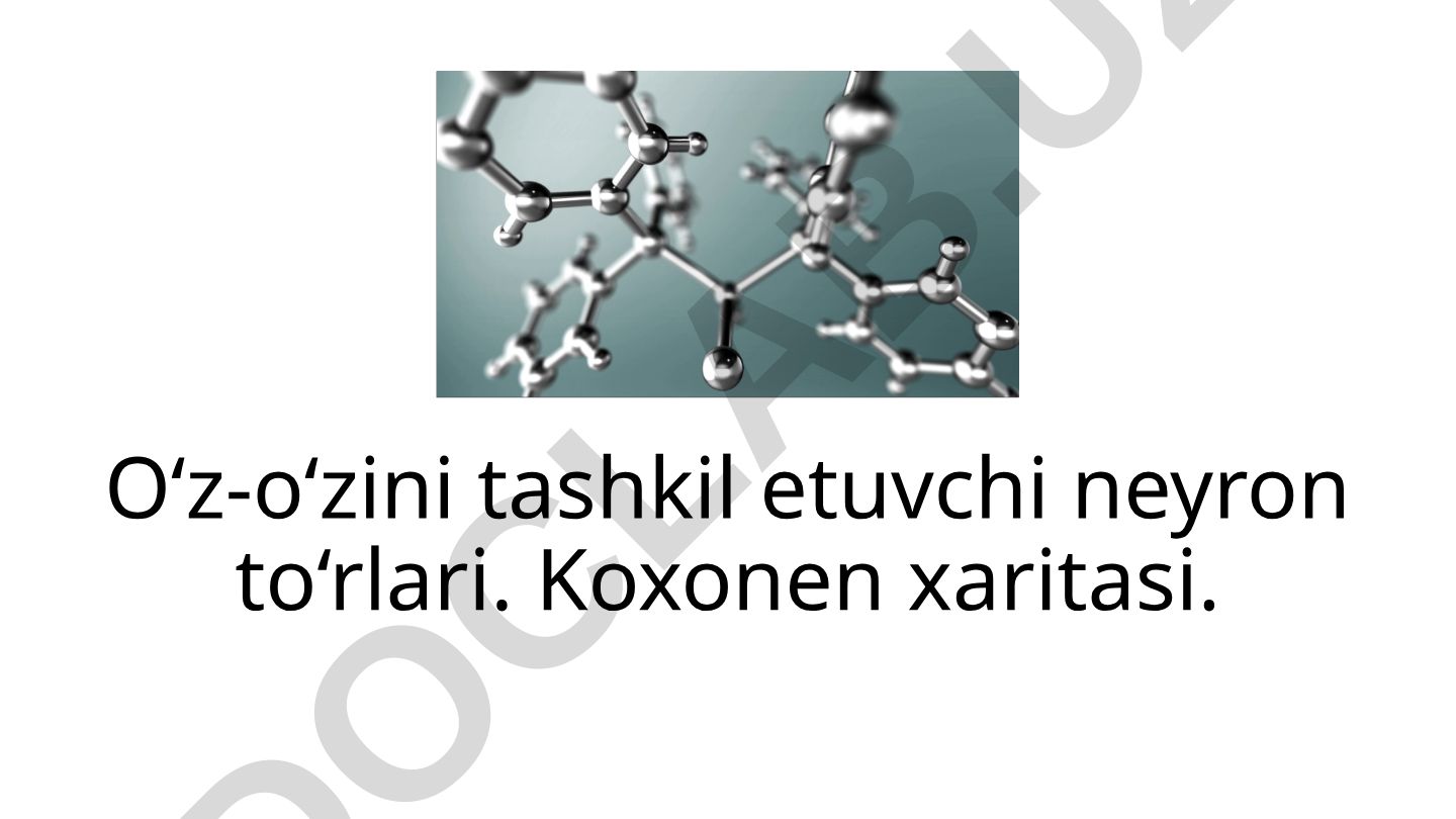 O‘z-o‘zini tashkil etuvchi neyron to‘rlari va Koxonen xaritasi