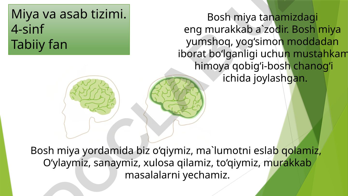 Miya va asab tizimi