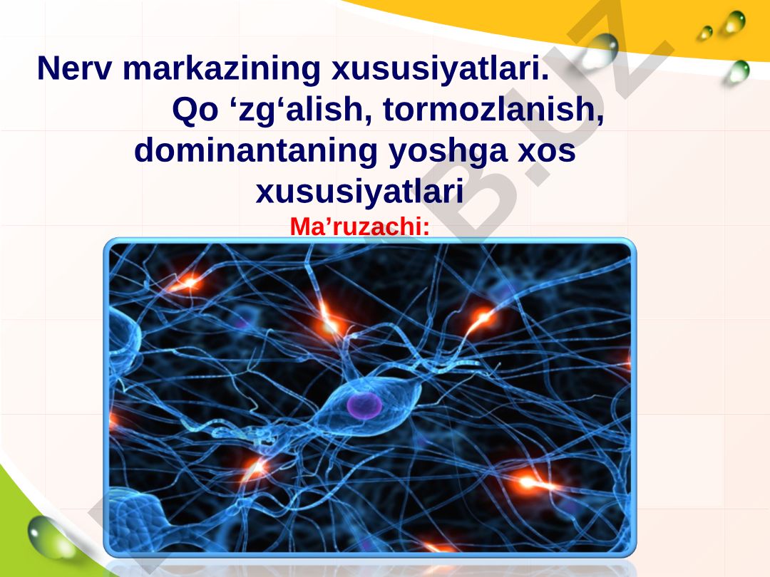 Nerv markazining xususiyatlari va nerv sistemasi tuzilishi