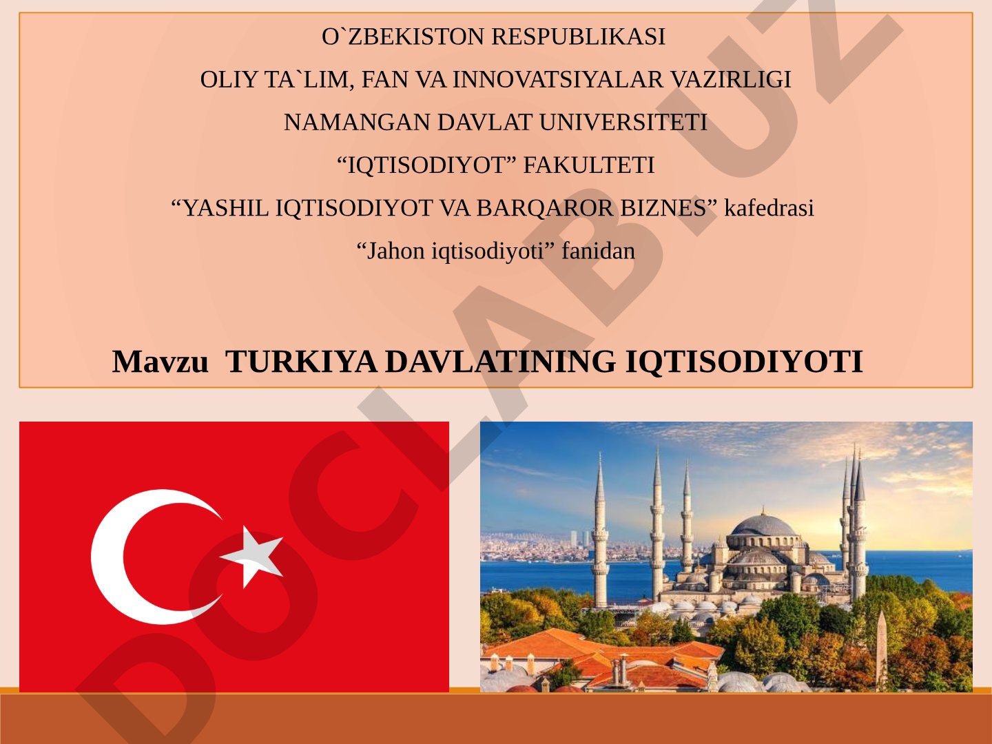 Turkiya iqtisodiyoti taqdimoti