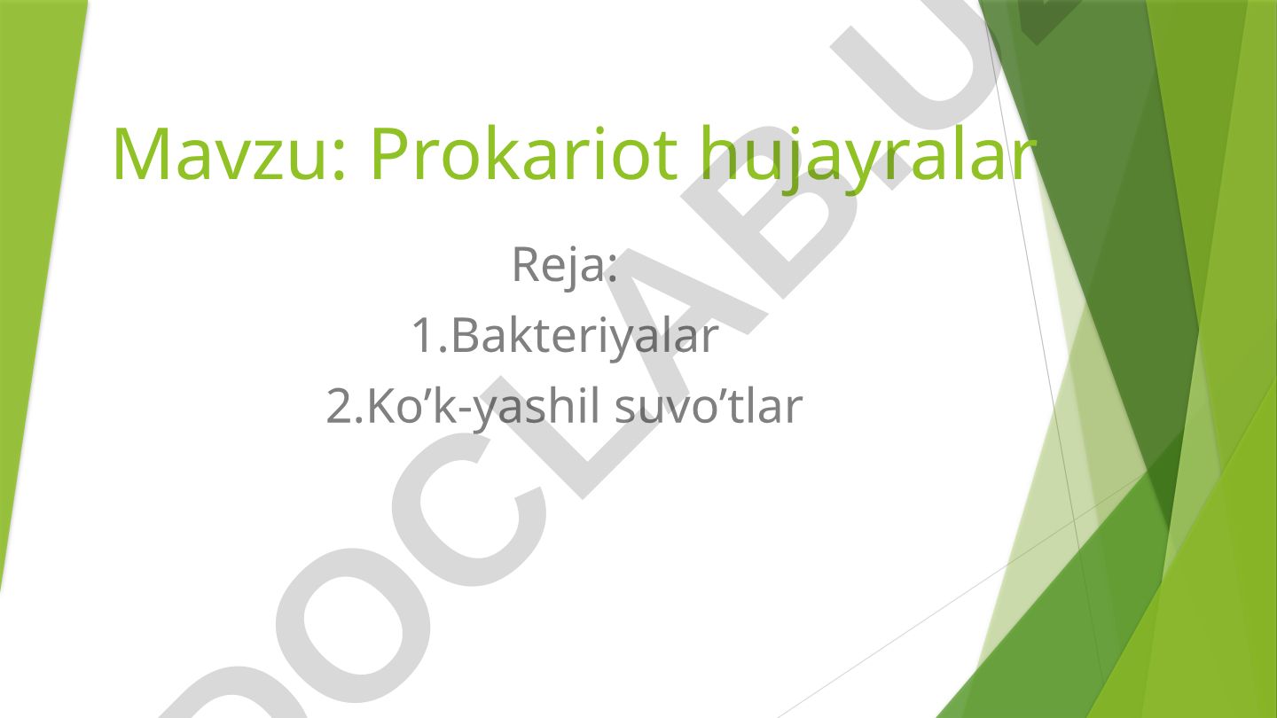 Prokariot hujayralar
