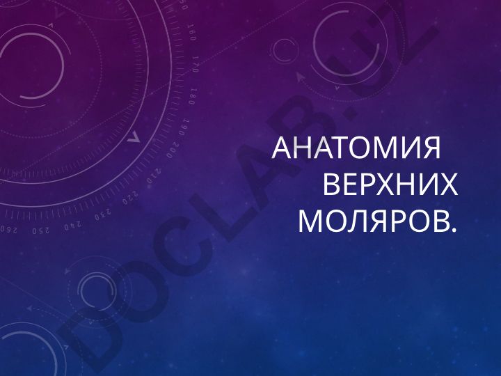 Анатомия верхних моляров: второй моляр верхней челюсти