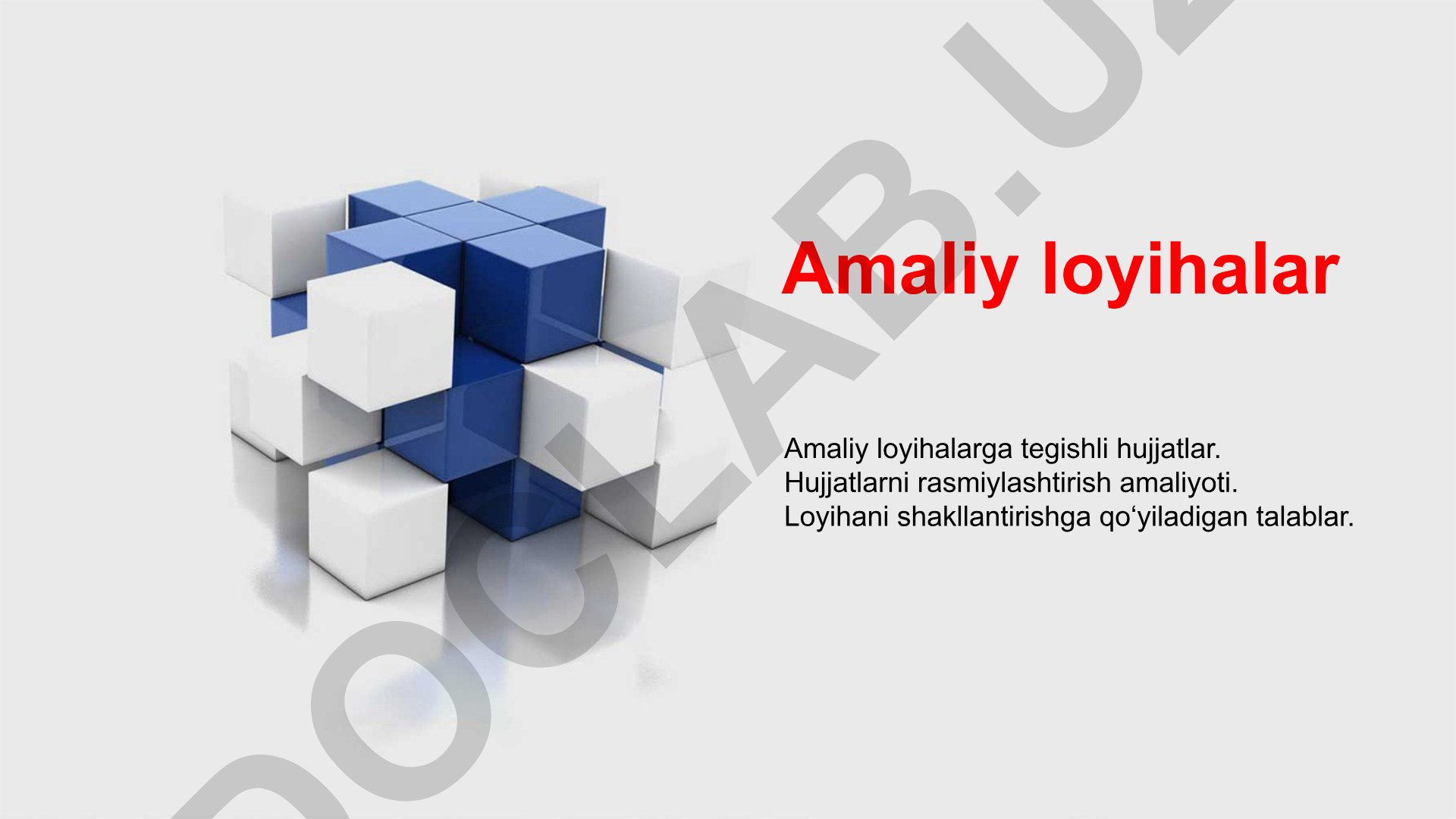 Amaliy loyihalarni shakllantirish va rasmiylashtirish talablari