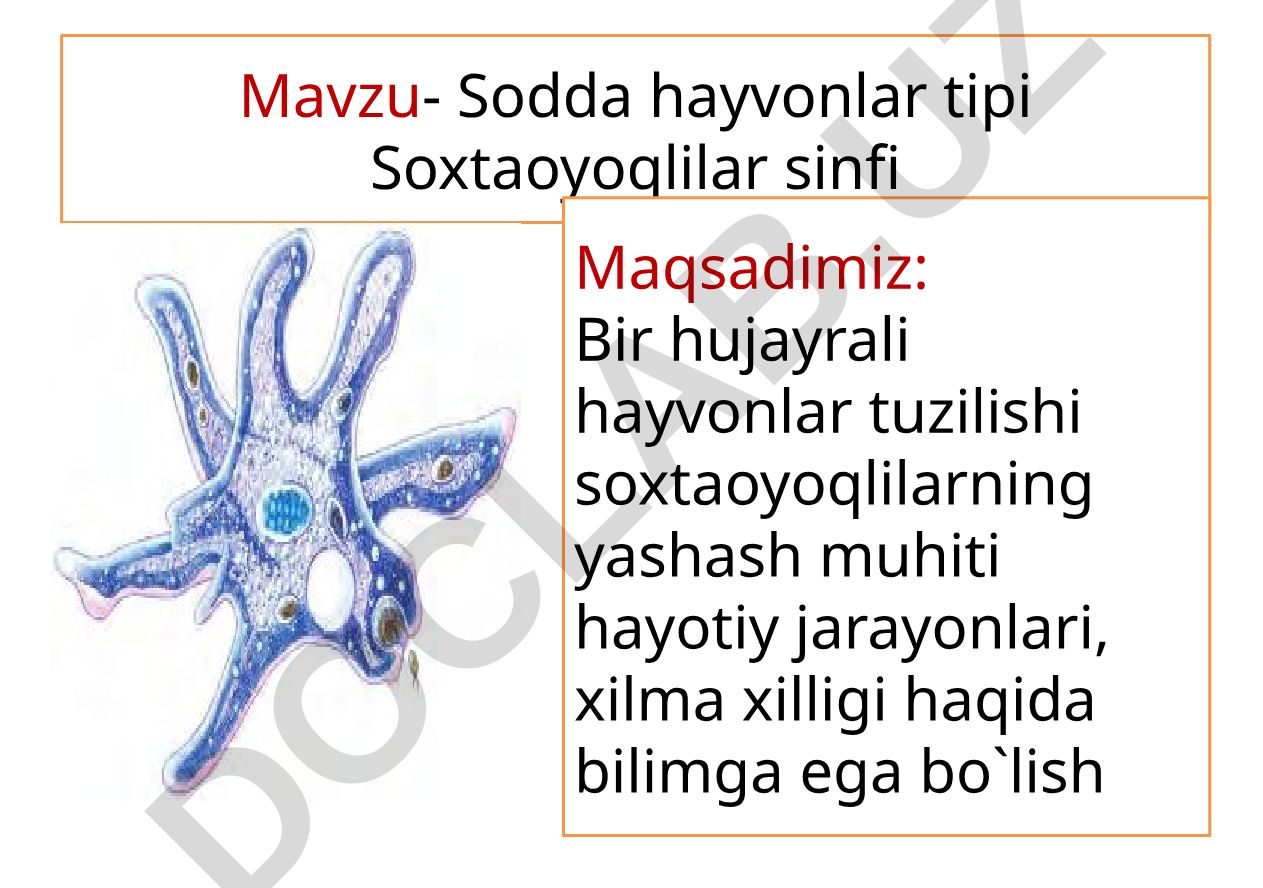 Sodda hayvonlar tipi Soxtaoyoqlilar sinfi
