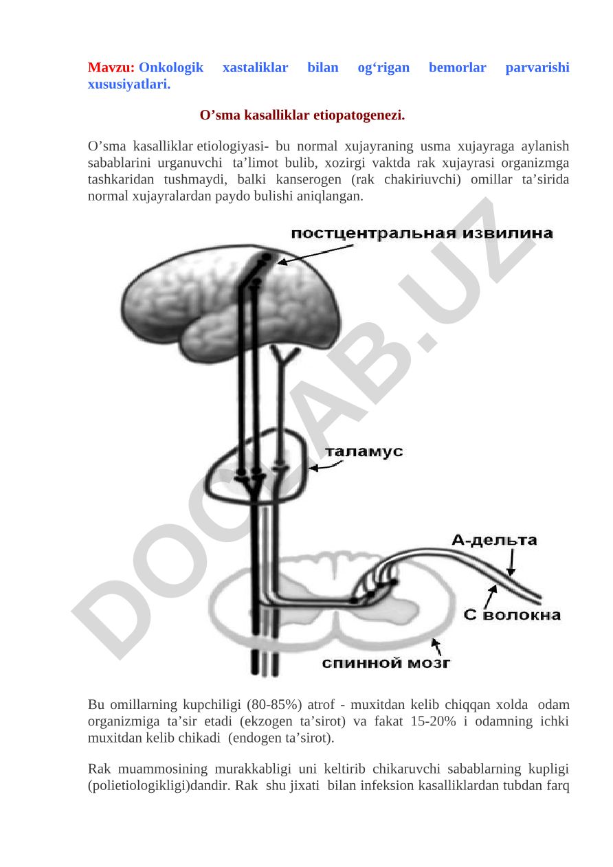 Onkologik xastaliklar bilan og‘rigan bemorlar parvarishi xususiyatlari. O’sma kasalliklar etiopatogenezi. O’sma kasalliklar etiologiyasi
