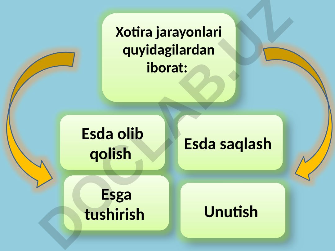 Xotira jarayonlari va nazariyalari