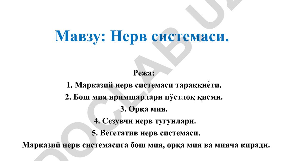 Нерв системаси