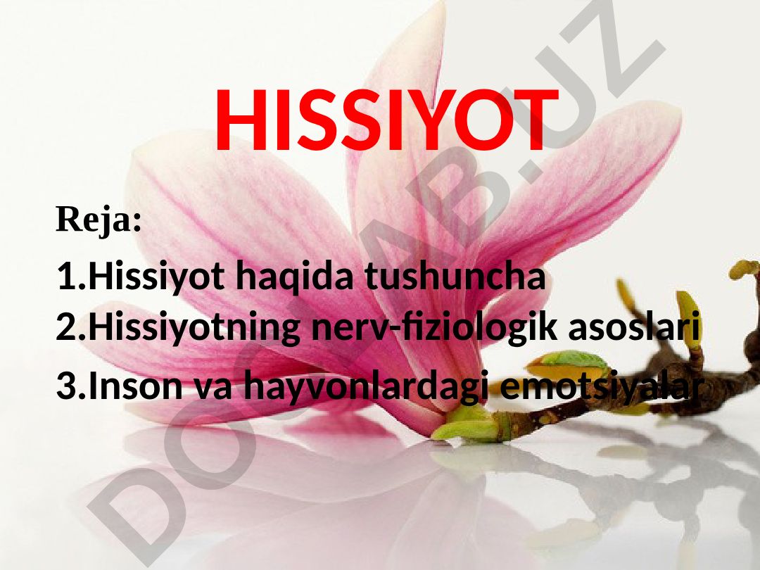 Hissiyot va emotsiyalar haqida tushuncha