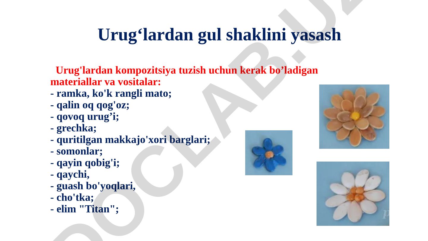 Urug‘lardan gul shaklini yasash