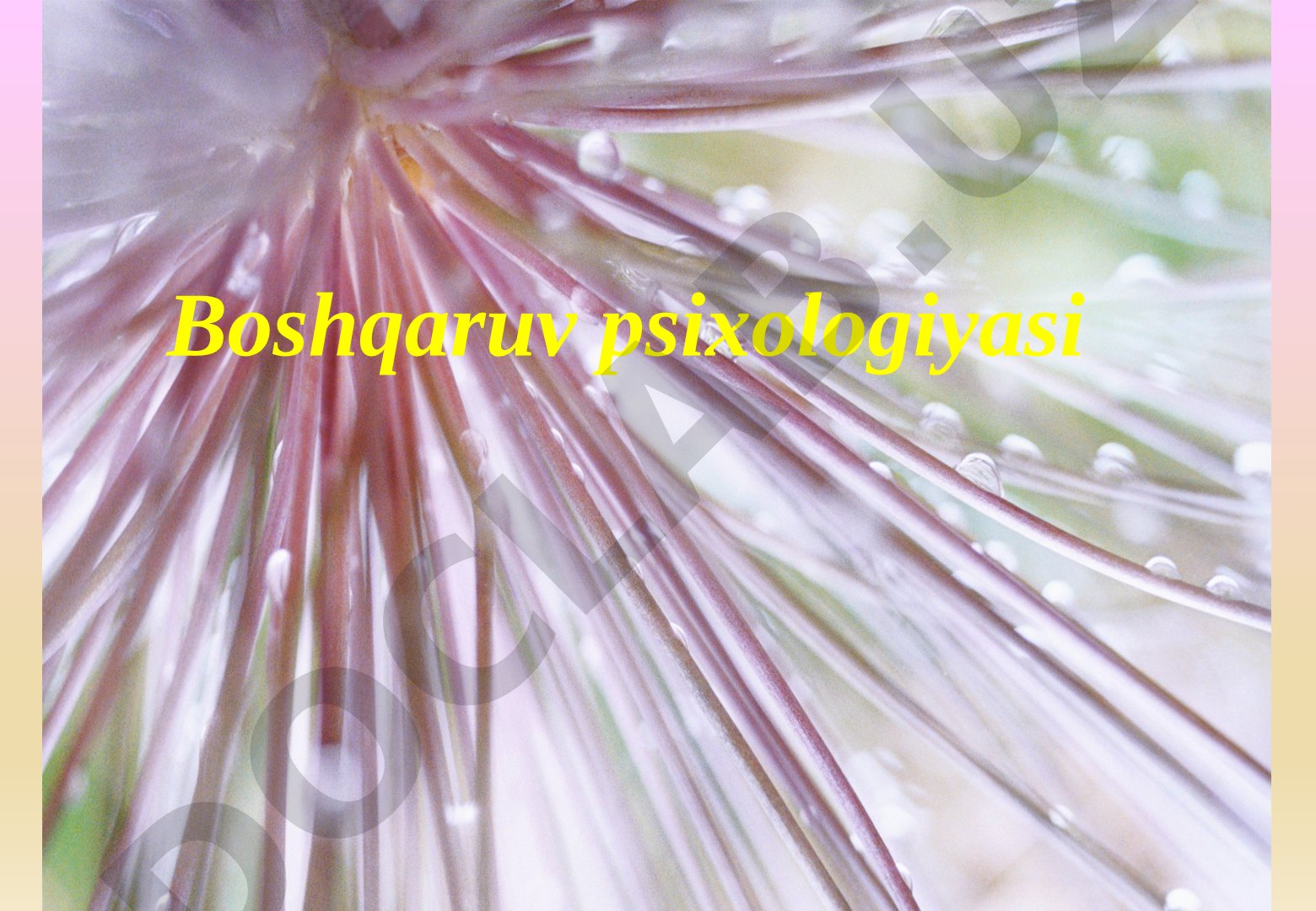 Boshqaruv psixologiyasi haqida tushuncha