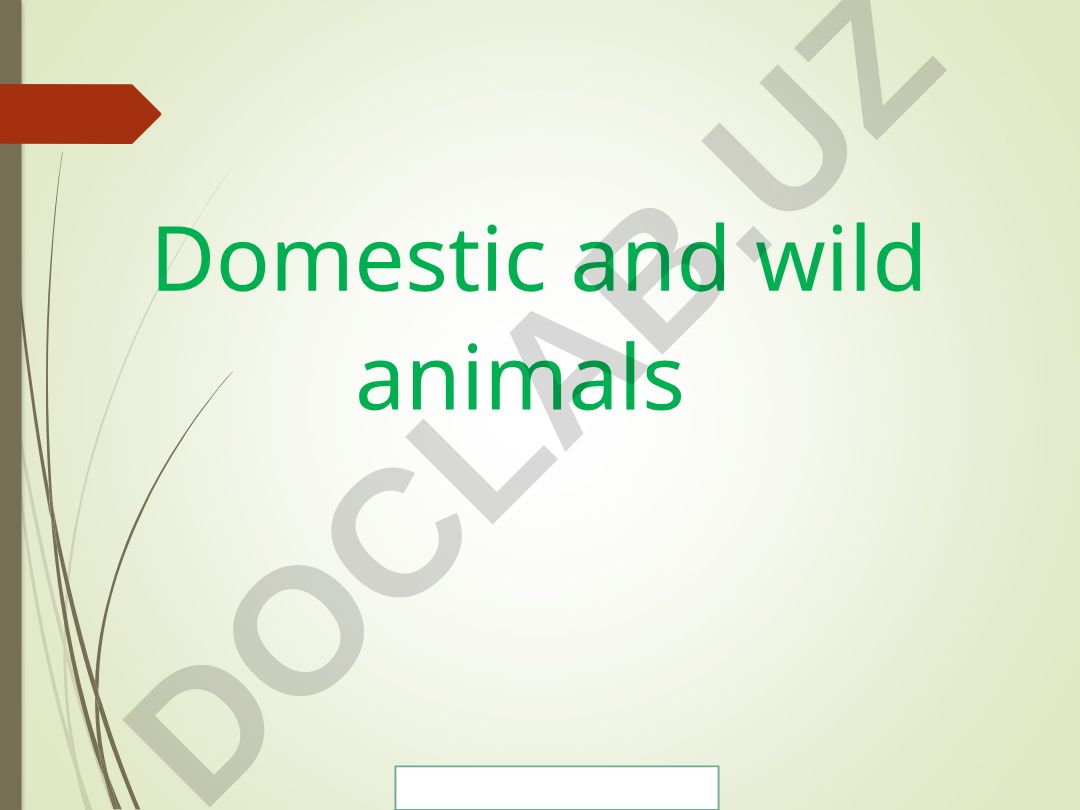 Domestic and wild animals