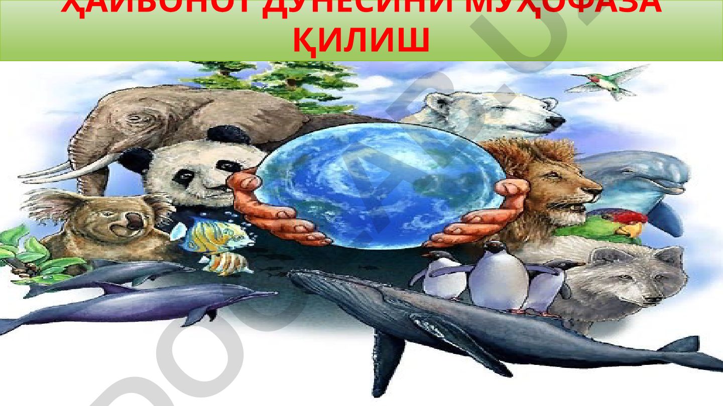 Ҳайвонот дунёсини муҳофаза қилиш