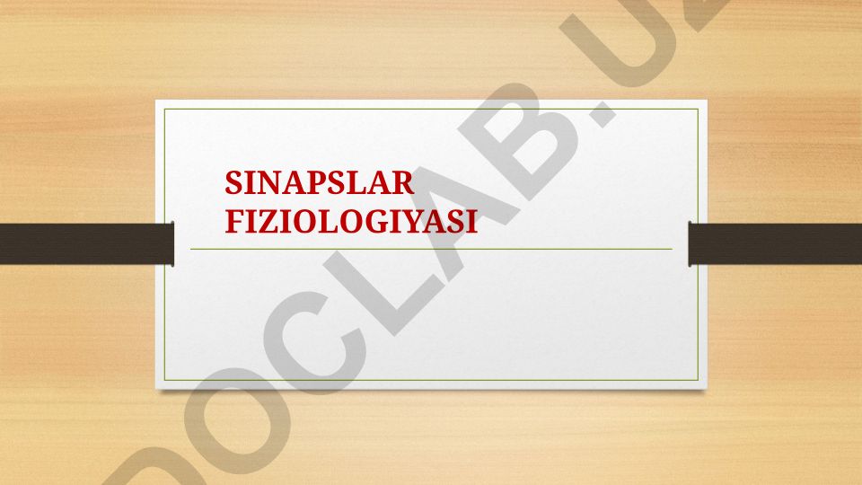 Sinapslar fiziologiyasi