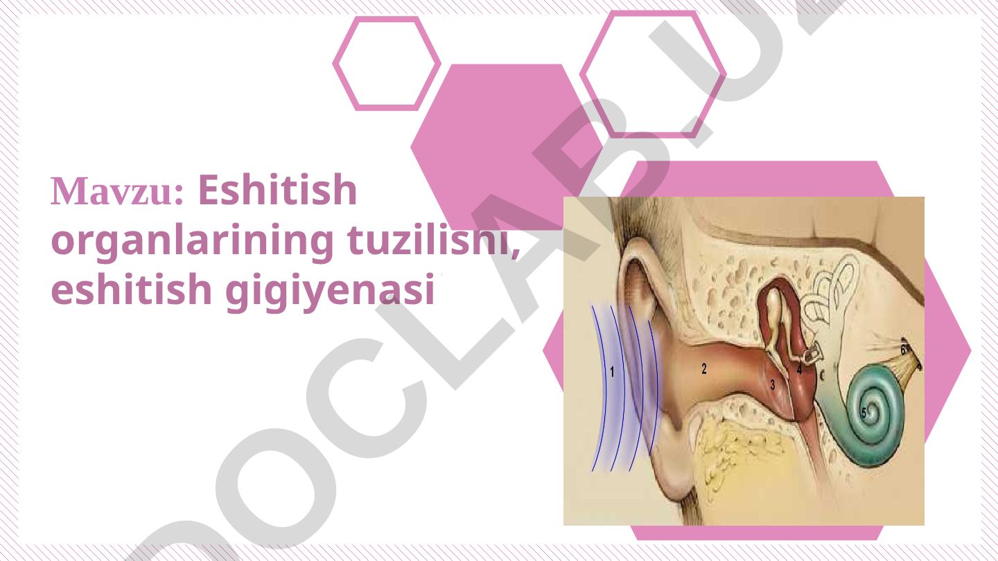 Eshitish organlarining tuzilishi, eshitish gigiyenasi