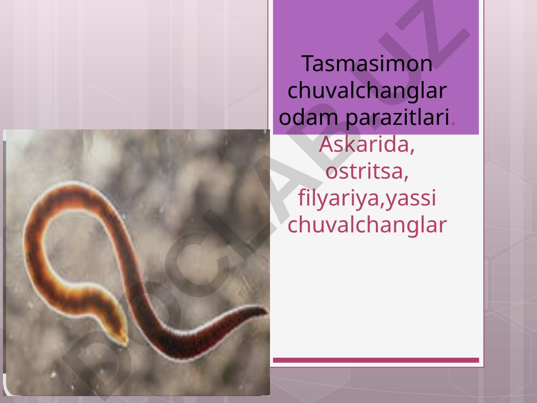 Tasmasimon va yassi chuvalchanglar odam parazitlari