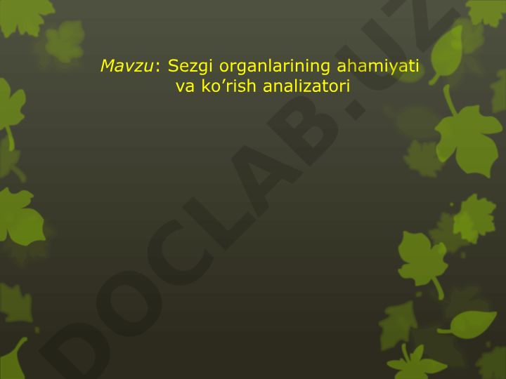 Sezgi organlarining ahamiyati va ko’rish analizatori