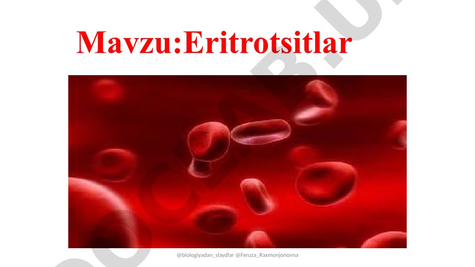 Eritrotsitlar