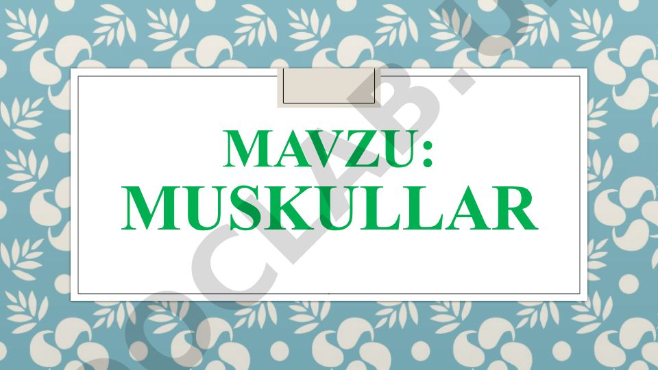 Muskullar