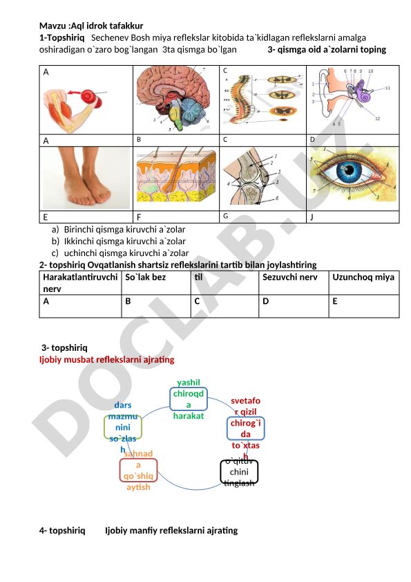 Aql idrok tafakkur 1-Topshiriq Sechenev Bosh miya reflekslar kitobida ta`kidlagan reflekslarni amalga oshiradigan o`zaro bog`langan 3ta qismga bo`lgan 3- qismga oid a`zolarni toping