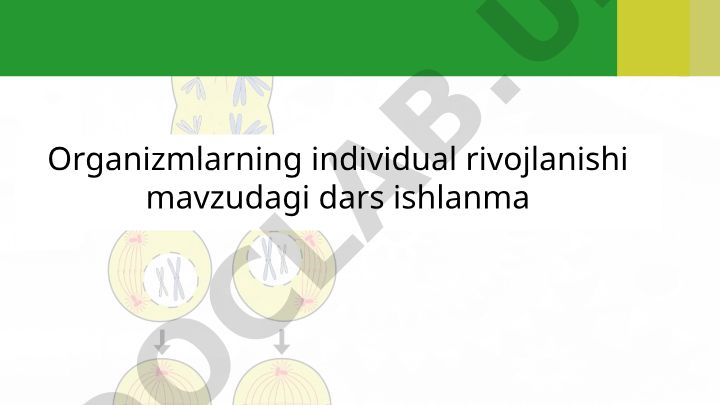 Organizmlarning individual rivojlanishi va hujayra irsiyatining o'zgarish jarayonlari