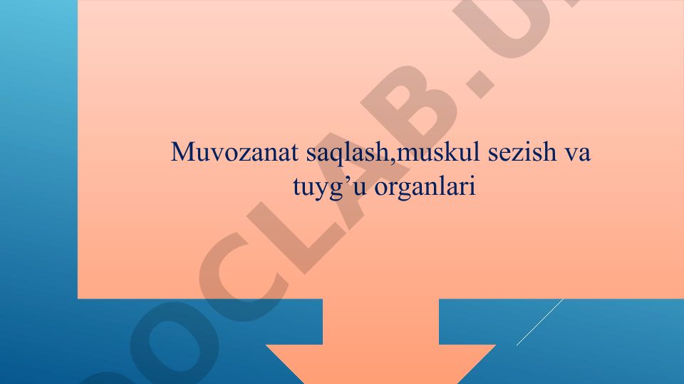 Eshitish organlari tuzilishi va funksiyasi