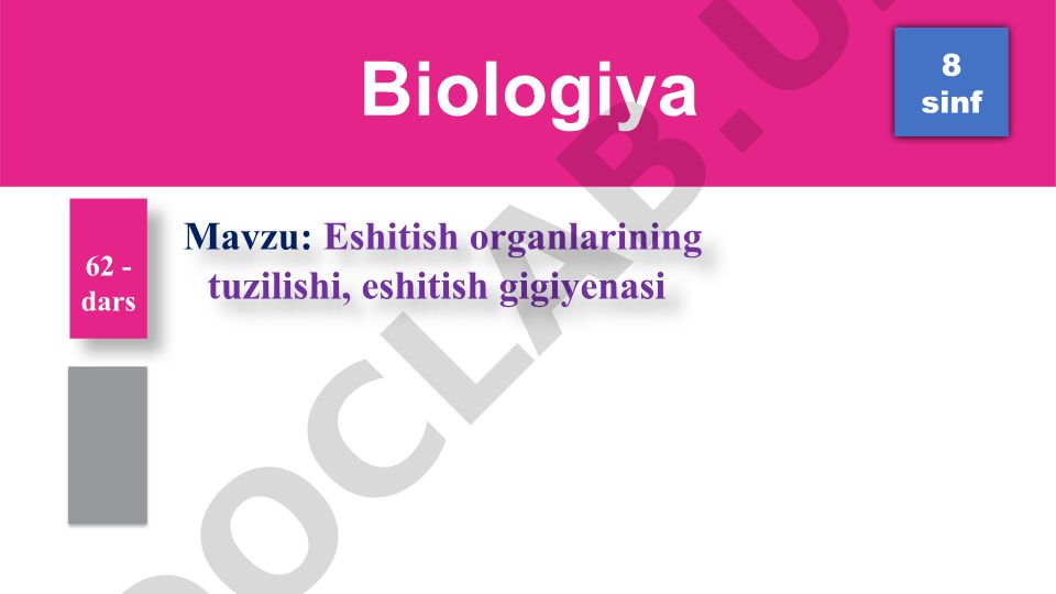 Eshitish organlarining tuzilishi, eshitish gigiyenasi