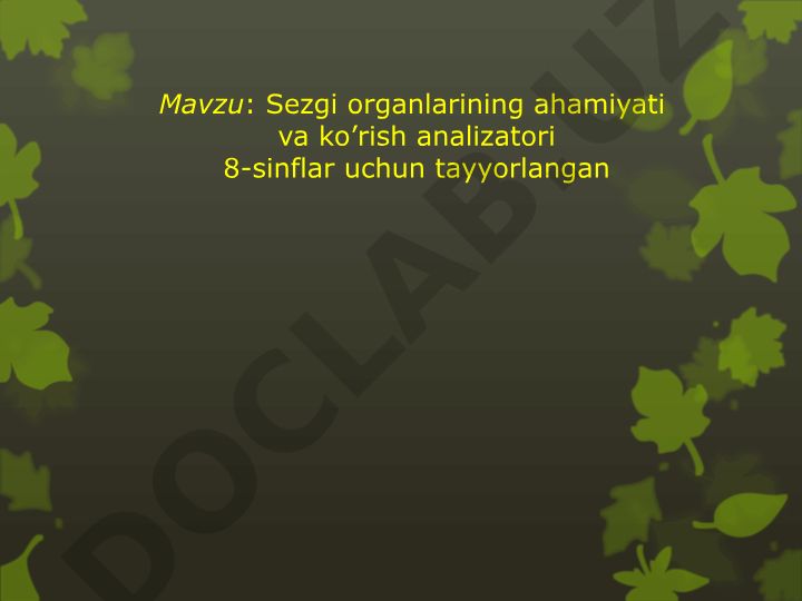 Sezgi organlarining ahamiyati va ko'rish analizatori