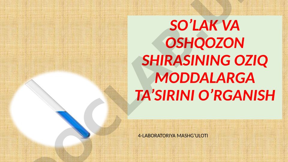 So'lak va oshqozon shirasining oziq moddalarga ta'sirini o'rganish
