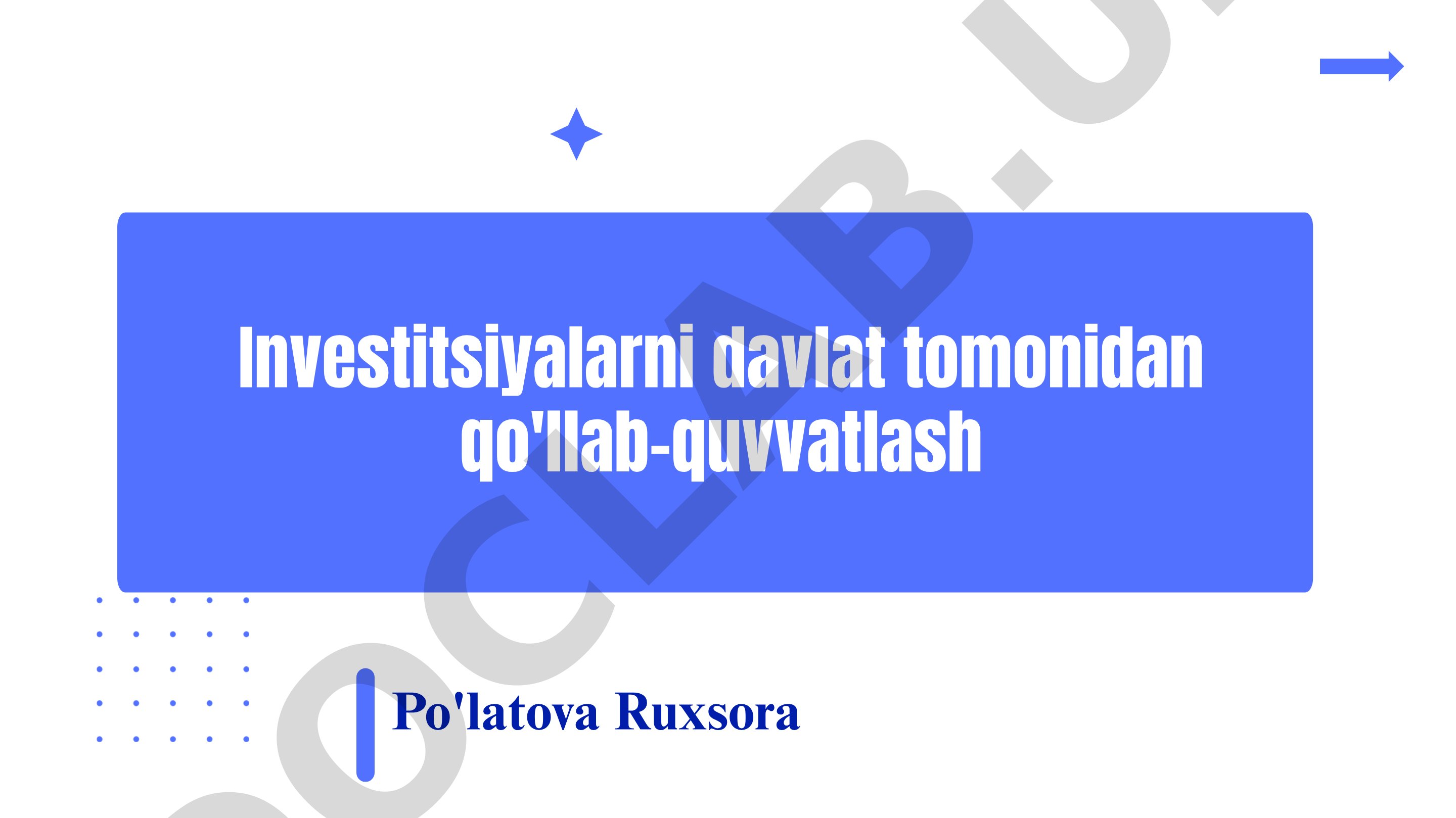 Investitsiyalarni davlat tomonidan qo'llab-quvvatlash