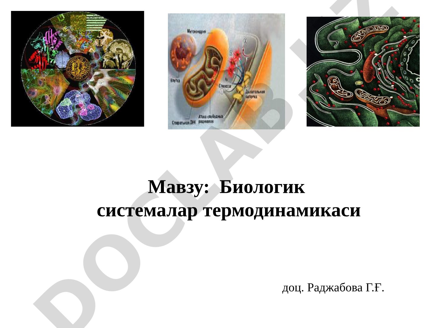 Биологик системалар термодинамикаси