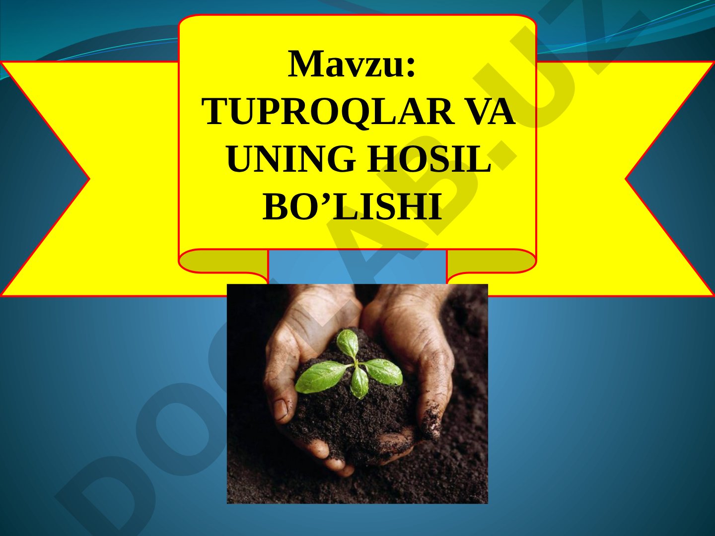 Tuproqlar va uning hosil bo'lishi