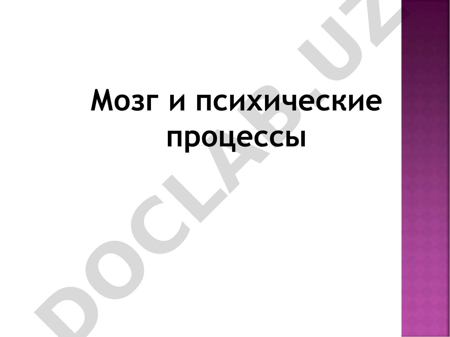 Мозг и психические процессы
