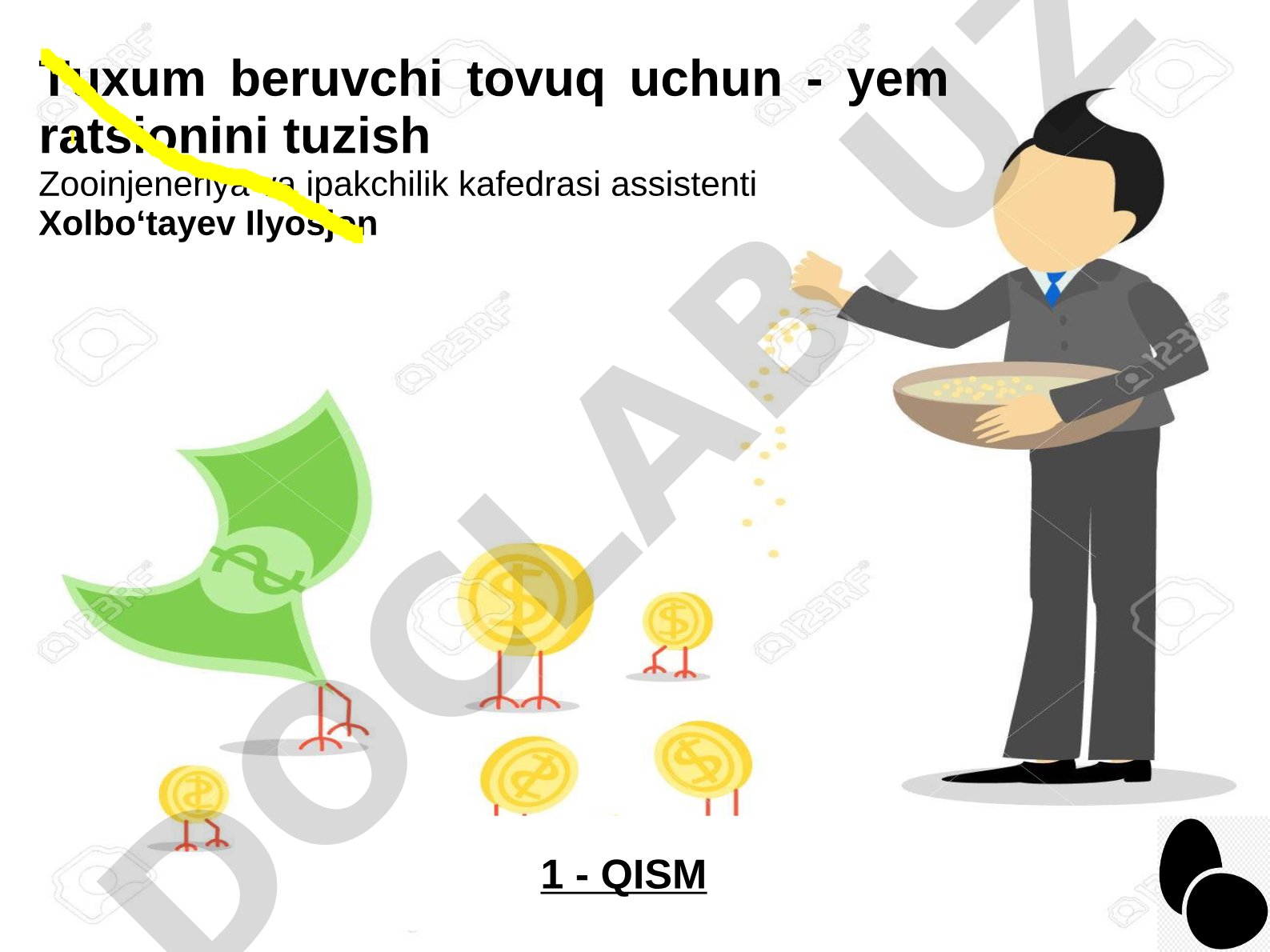Tuxum beruvchi tovuq uchun - yem ratsionini tuzish