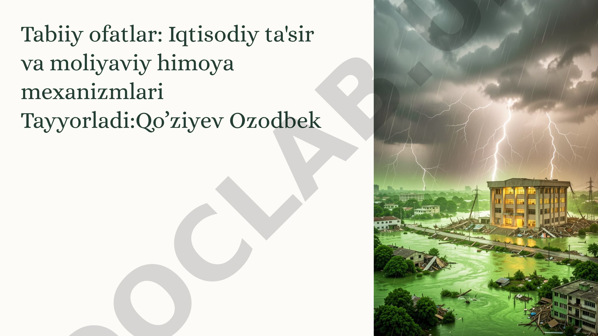 Tabiiy ofatlar: Iqtisodiy ta'sir va moliyaviy himoya mexanizmlari