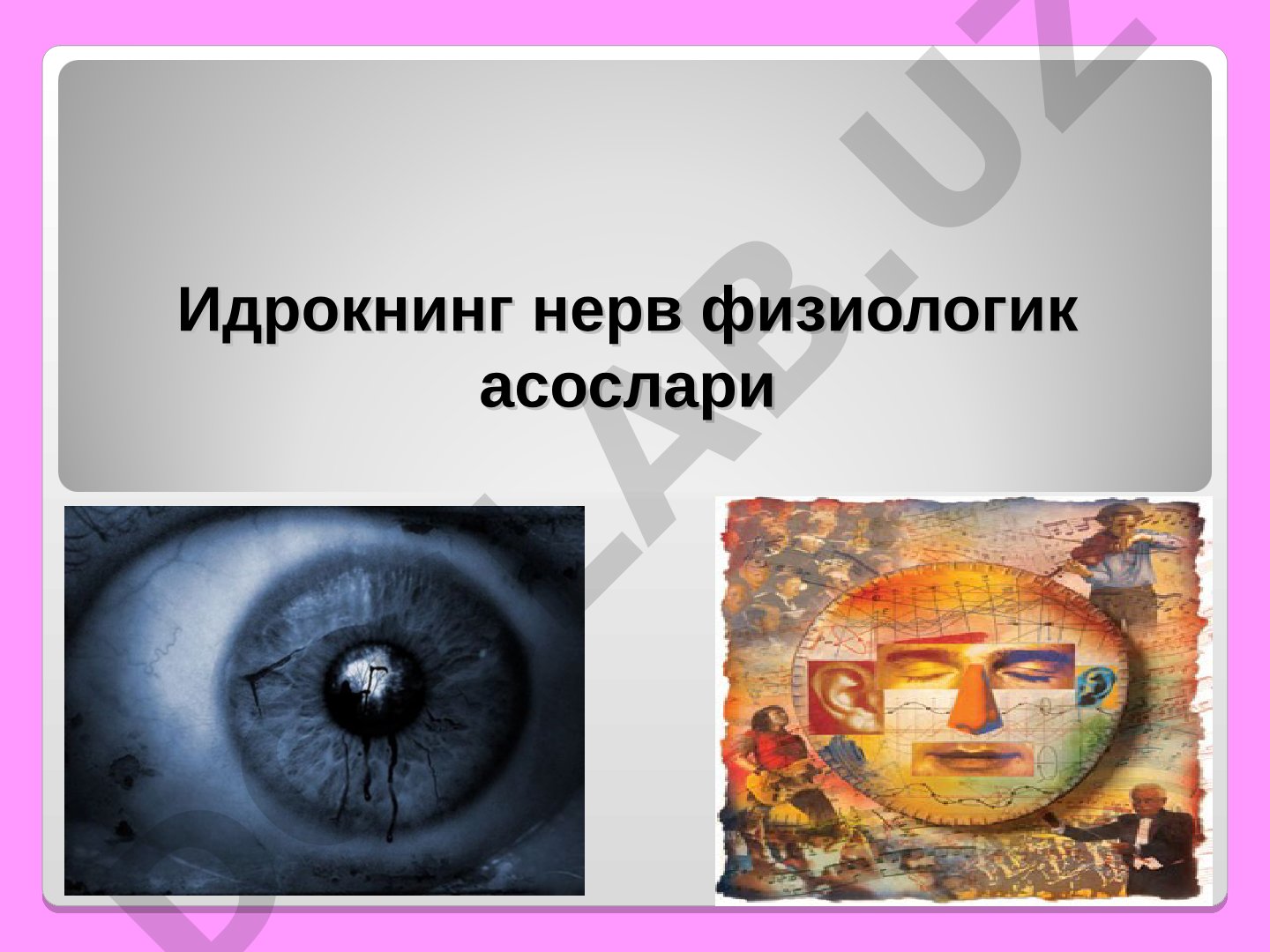 Идрокнинг нерв физиологик асослари