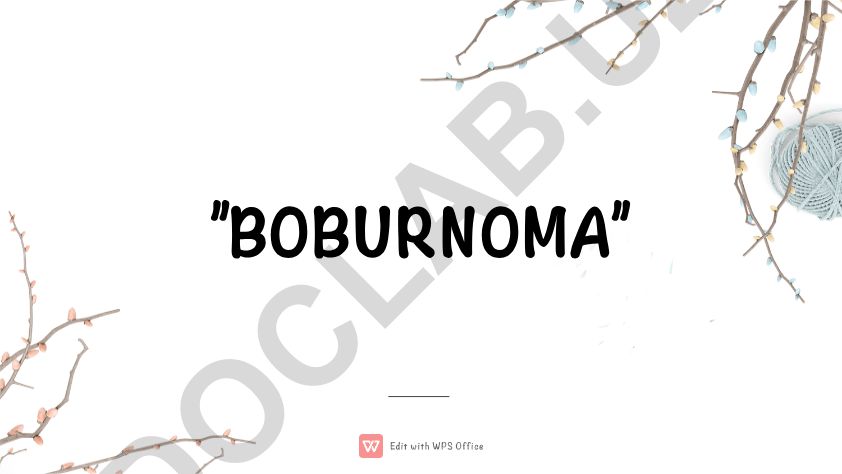 Boburnoma asari haqida ma'lumot